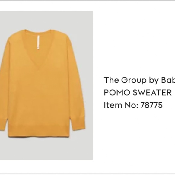 Aritzia- the group by babaton Pomo sweater in sumac - Picture 2 of 10